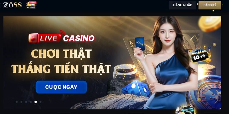 Giới thiệu đôi nét về ZO88